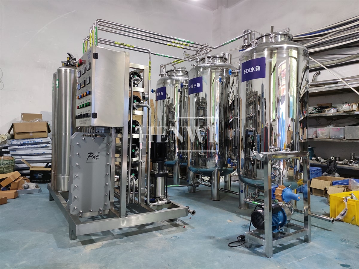 Henwi HWRO-Double Stage With EDI-3000-5000L/H-SUS Reverse Osmosis Water Purification Treatment Equipment Pure Water Making Machine Water Purifying Device