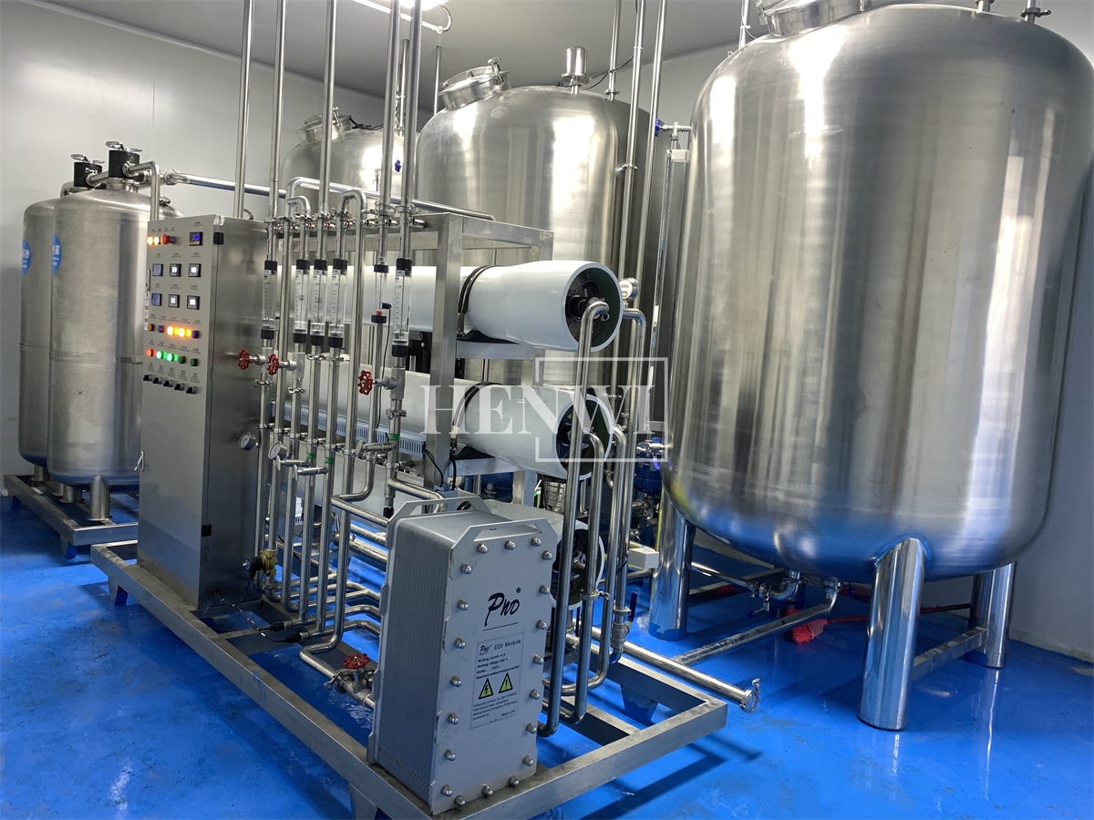 Henwi HWRO-Double Stage With EDI-500-2000L/H-SUS Reverse Osmosis Water Purification Treatment Equipment Pure Water Making Machine Water Purifying Device